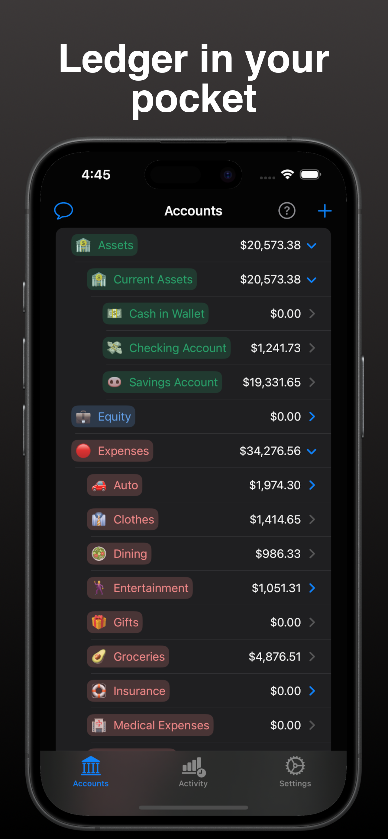 HandsOnMoney Ledger screen